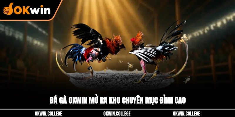 Đá gà OKWIN mở ra kho chuyên mục đỉnh cao