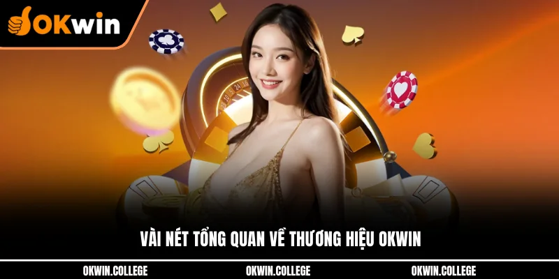 Vài nét tổng quan về thương hiệu OKWIN